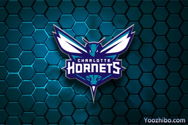 2019-2020赛季<a href=/lanqiuzhongguo/hornets/ target=_blank class=infotextkey>黄蜂</a>队队徽